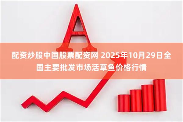 配资炒股中国股票配资网 2025年10月29日全国主要批发市场活草鱼价格行情
