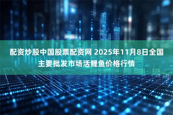 配资炒股中国股票配资网 2025年11月8日全国主要批发市场活鲤鱼价格行情